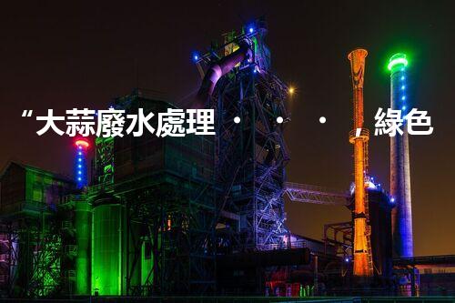 “大蒜廢水處理，綠色環(huán)保新篇章”